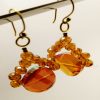 Maroon Crystal Earrings